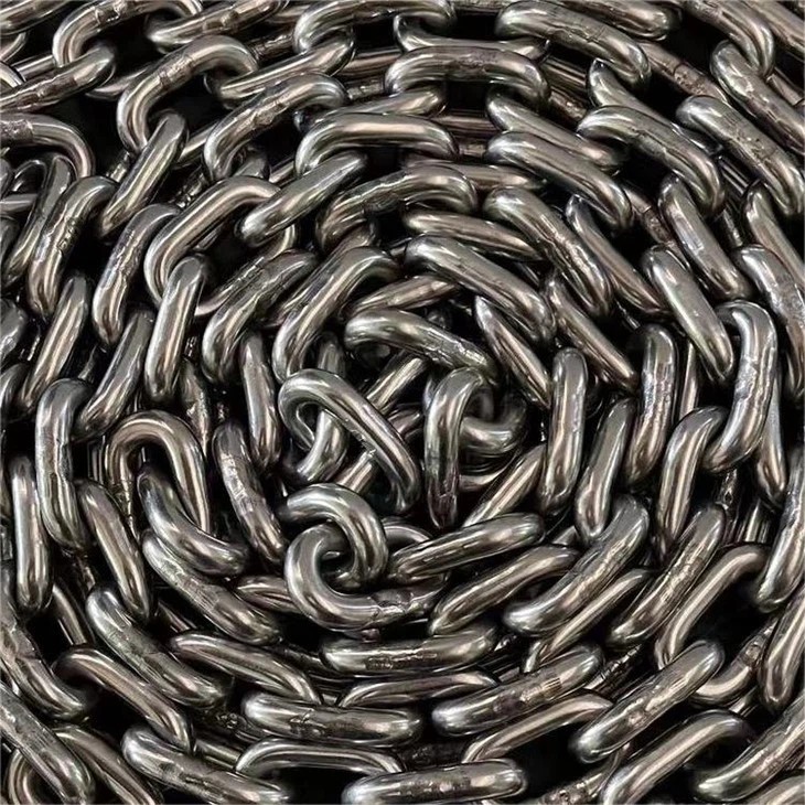 Manganese Steel And Carbon Steel For Slaughtering Chickens And Ducks For Hoisting Chain Poultry Production Line